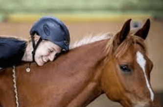 The Art and Insight of Horse Riding Commentary: An In-Depth Look