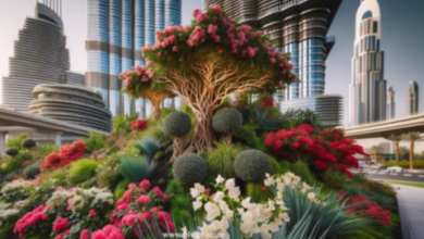 Landscaping in Dubai: Where Nature Meets Urban Splendor