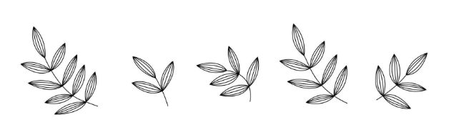 Outline:1katqdk7ygw= Leaf Clipart