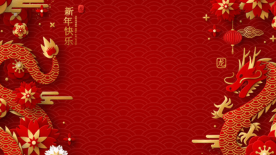 Background:8qjjgfh3cju= Chinese New Year