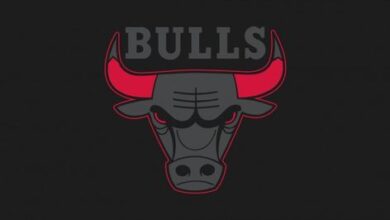 Logo:_Wrv548v0gs= Chicago Bulls