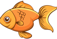 Clipart:Hltgurkggfw= Fish