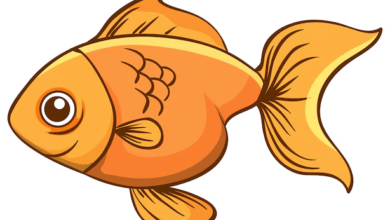 Clipart:Hltgurkggfw= Fish