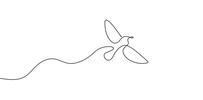 Simple:5j8a2hxaoq0= Line Drawing