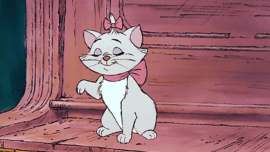 Aesthetic:9puinws9ahc= Marie Aristocats