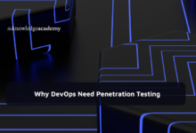 Penetration Testing 