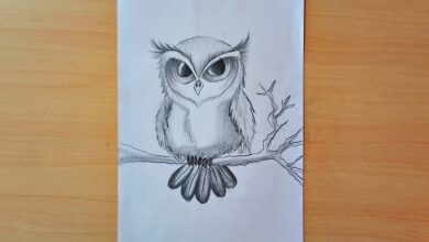 Art:1gprvsbycio= Owl Drawing