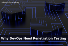 Penetration Testing 