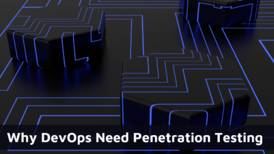 Penetration Testing 