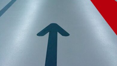 axis multiplier direction input