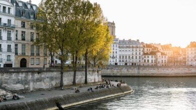 baron bnp paribas investment
