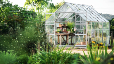 5 Outdoor Gardening Ideas in 2025's Summer