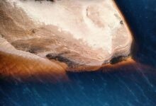 alefudoli s unique characteristics highlighted