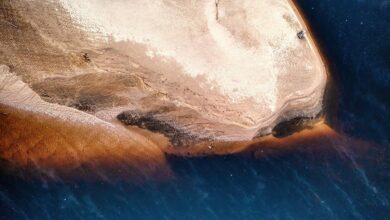 alefudoli s unique characteristics highlighted