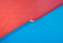 background check tips resources