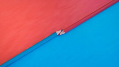 background check tips resources