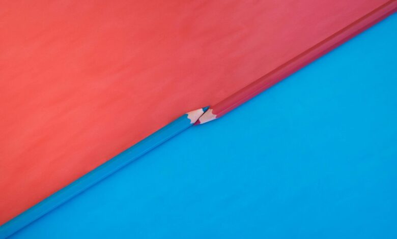 background check tips resources