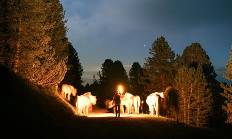 bhagyalaxmi result comprehensive overview