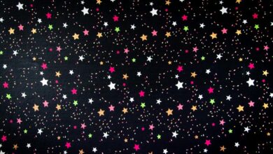 dynamic vector nova surge