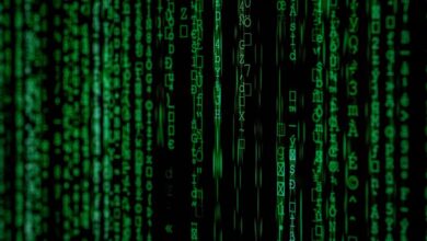 international lookup for number