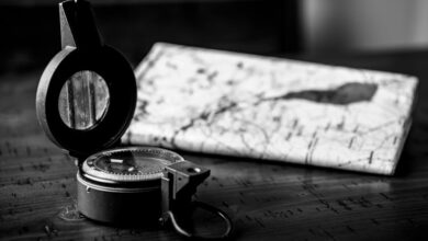 market pioneer 3515171214 digital compass