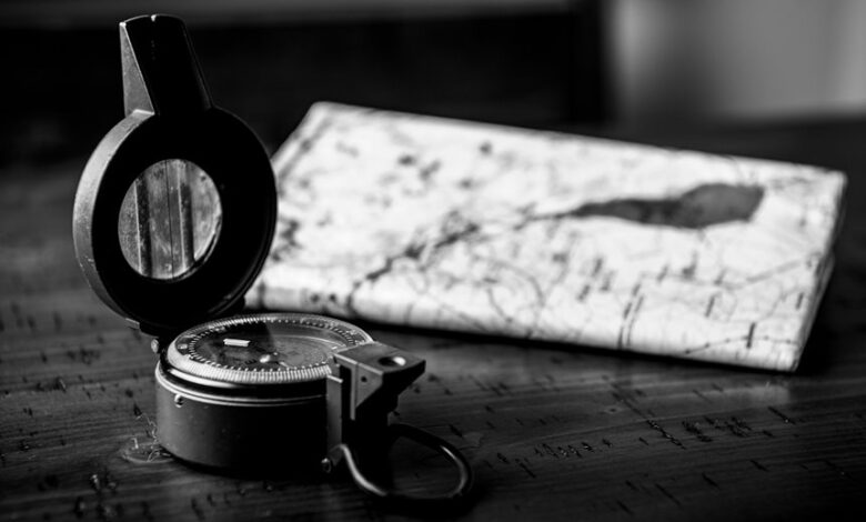 market pioneer 3515171214 digital compass