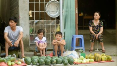 momentum node market loop