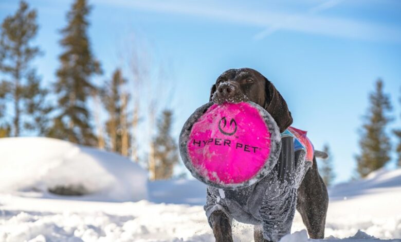 nexus hyper arc model