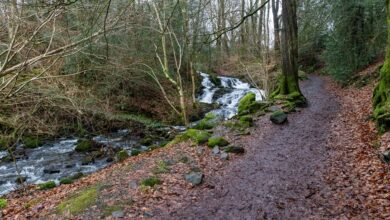 nova flow performance overview