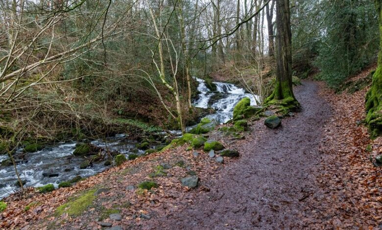 nova flow performance overview