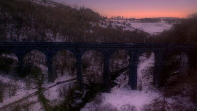 online maximizer marketing beacon 4 words