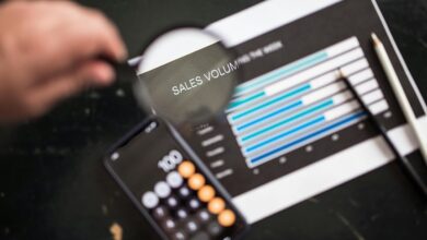 phone number insights provided