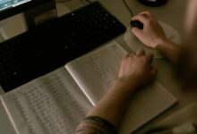 rankada alerts data overview