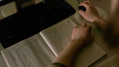 rankada alerts data overview