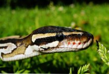 smart scaling performance insights