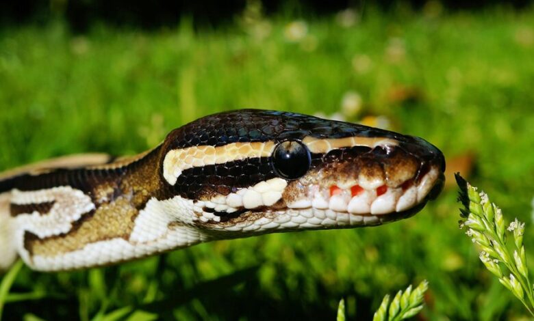 smart scaling performance insights