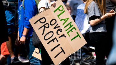 successful profit expansion strategy