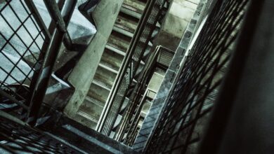 vertex surge growth flow