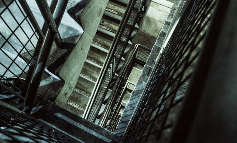 vertex surge growth flow