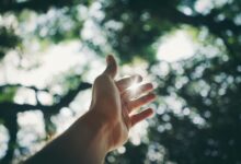 expand digital reach with growth platform