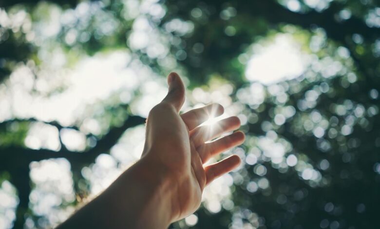 expand digital reach with growth platform