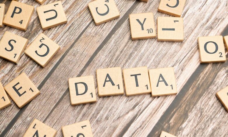 data integrity validation terms mis typed