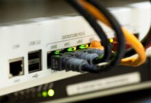 network technical scan dazeeha xotros boxer