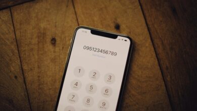 phone numbers and domain details captured