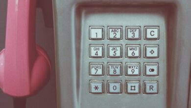 user records with phone numbers