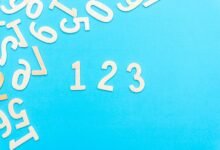 beginner s guide to 6175170000