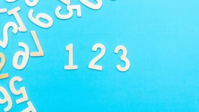 beginner s guide to 6175170000