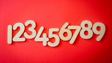 beginner s guide to numbers