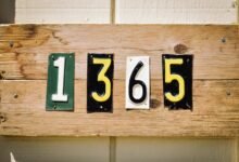 phone number with leading digits 9044508120