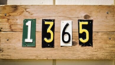 phone number with leading digits 9044508120